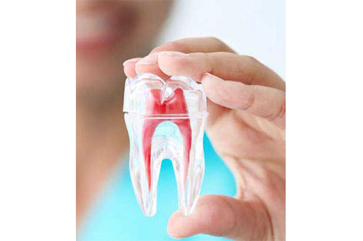 Transparent Tooth